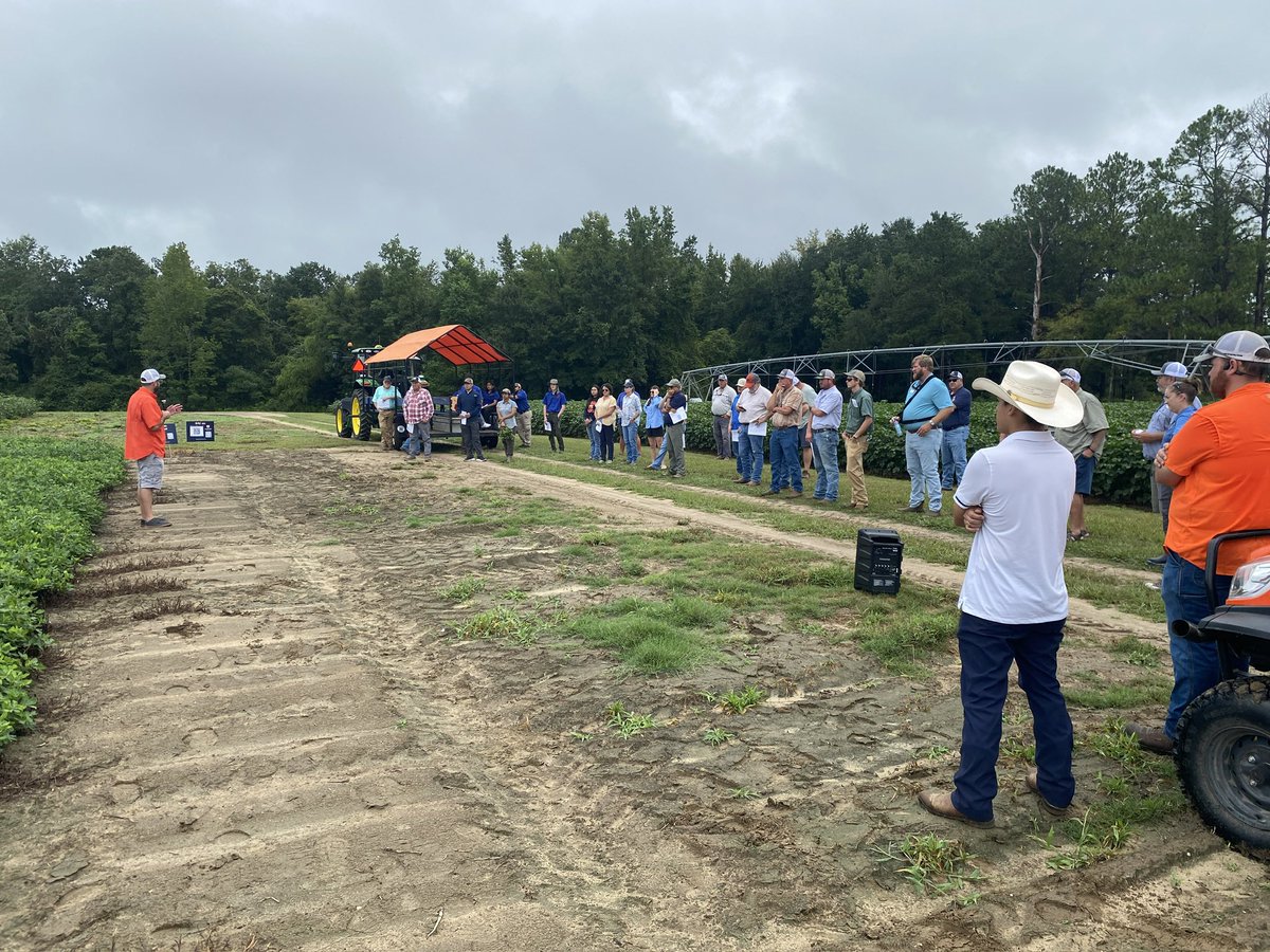 It’s always great to participate and speak at field days. This one at the Brewton AU Research Unit had a good turn out. Kudos to Brad Miller for putting this together! <a href="/ACESedu/">Alabama Extension</a>