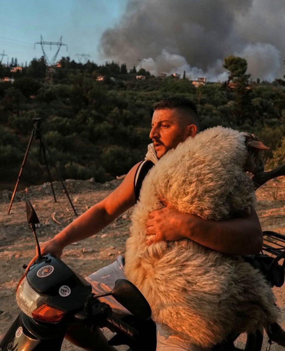Patras, Greece — as the fire devours everything, he clings to the one life he can still save.
Sometimes, courage is simply refusing to let go.
📷 AP / Thanassis Stavrakis
