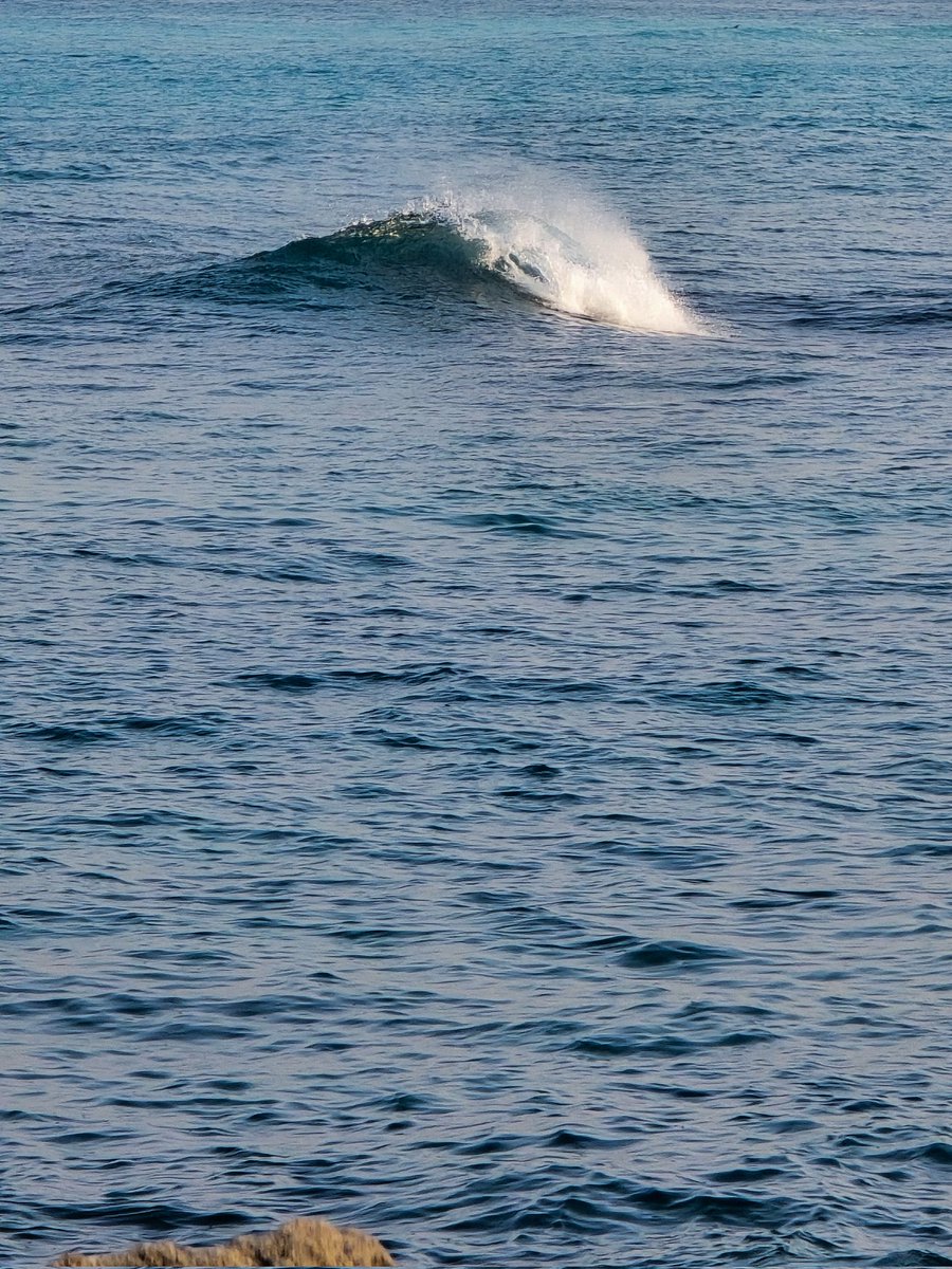 As ocean waves build up, they eventually go down after peaking. Thursday Aug 14 is the peak of both high &amp; low atm temperatures in the Eastern #Mediterranean. Two days later, on Saturday, the current #heatwave will just be history