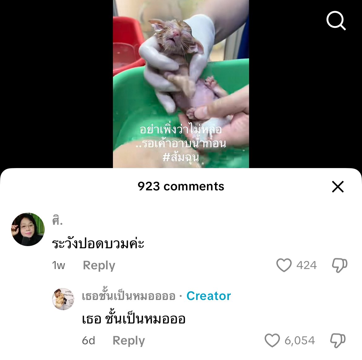 ´ˎ˗ tweet media