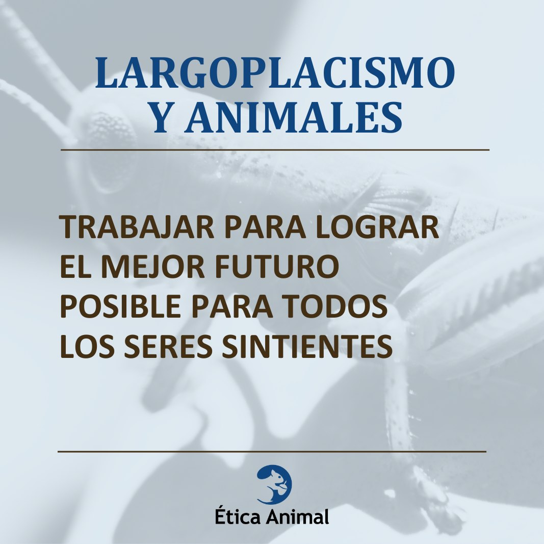 En este texto exploraremos dos ideas centrales:

·⠀Por qué tenemos una tendencia a ignorar el futuro a largo plazo

·⠀Por qué debería importarnos el futuro a largo plazo

animal-ethics.org/por-que-es-tan…