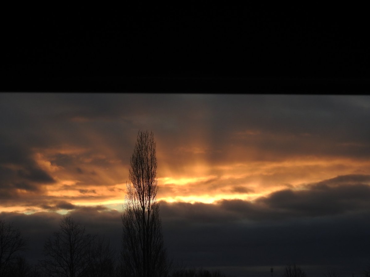 jannekevdwal56's tweet image. Op #dag13 #beau_gustus een bijdrage uit mijn #hart voor @dthta57 
De zon komt iedere dag op, bij dezen een straaltje voor jullie 😙
Ik roep een ieder op dit ook te doen  als steun in deze tijd 🤍
Sterkte.