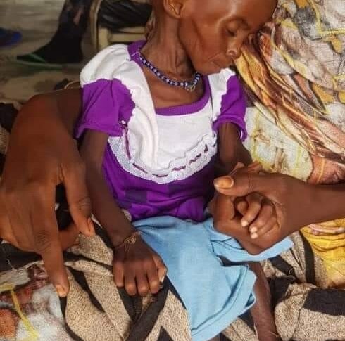 أنقذوا مُدنًا يعصف بها الموت، مُتنكرًا بوجه الجوع، فليس الجوعُ إلا موتٌ مؤجل
كادوقلي/الدلنج/الفاشر
مناطقُ مأهولة بالسكان دون كِسرة خُبز واحدة
حين يقتل الجوع إنسانًا لا ذنب له، بأي وجه سنقف بِصمتنا أمام الله؟
#الفاشر_تموت_جوعاََ
#AlFashir_is_starving
#August_for_AlFashir