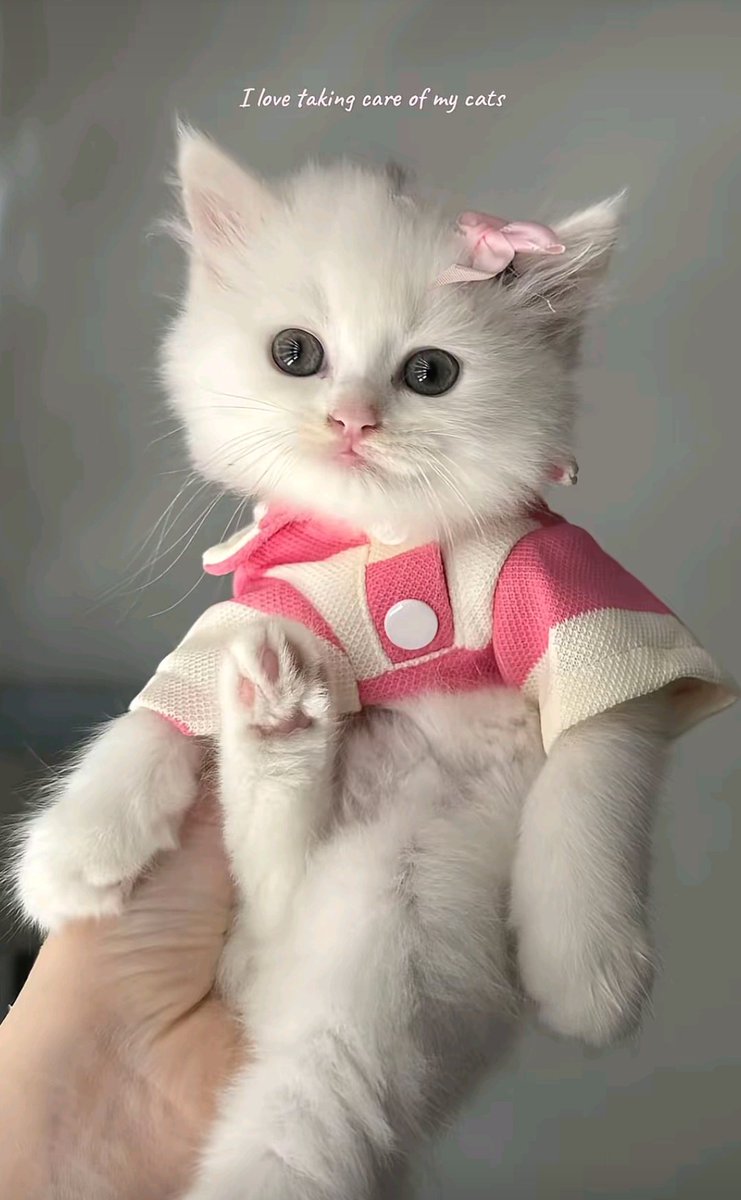 mu028r's tweet photo. @l0000711 بزونكم ما رتاحيتله جان انطيناه بزونتنا https://t.co/v6Lw25q8ua