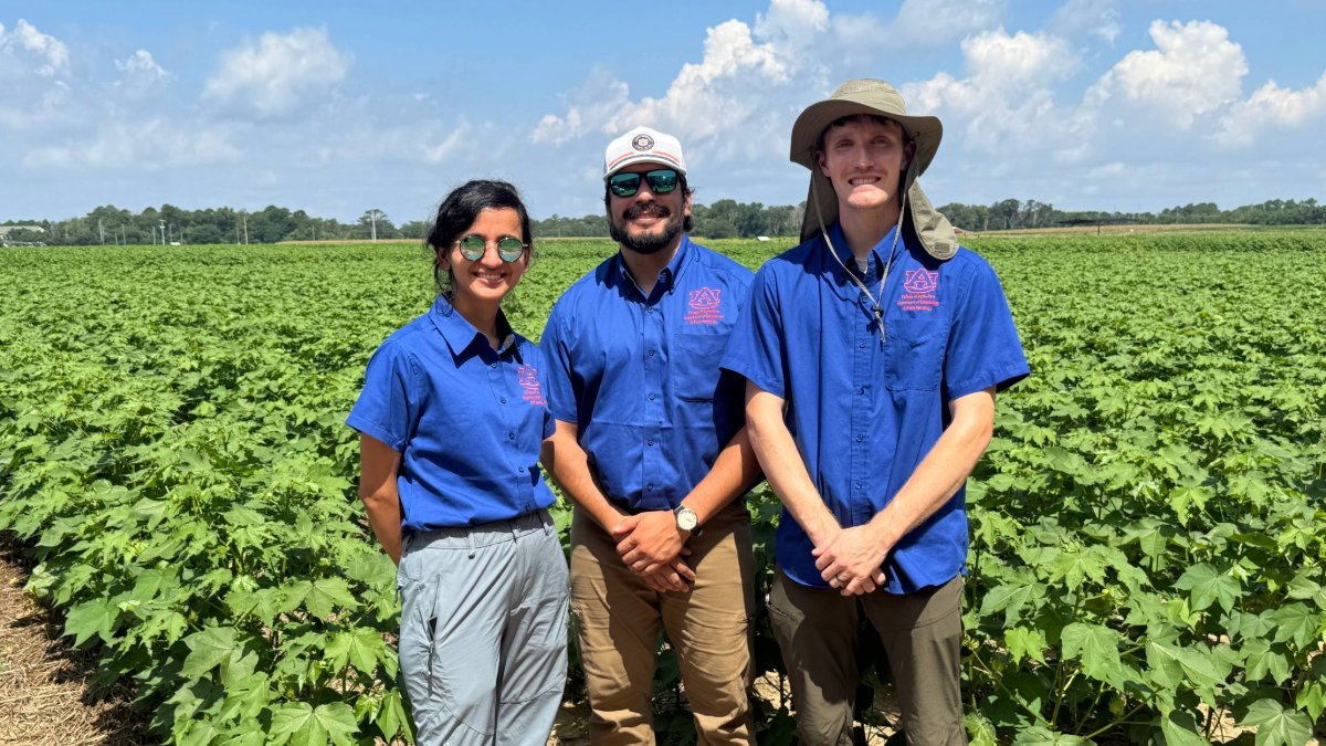 Auburn Agriculture tweet media