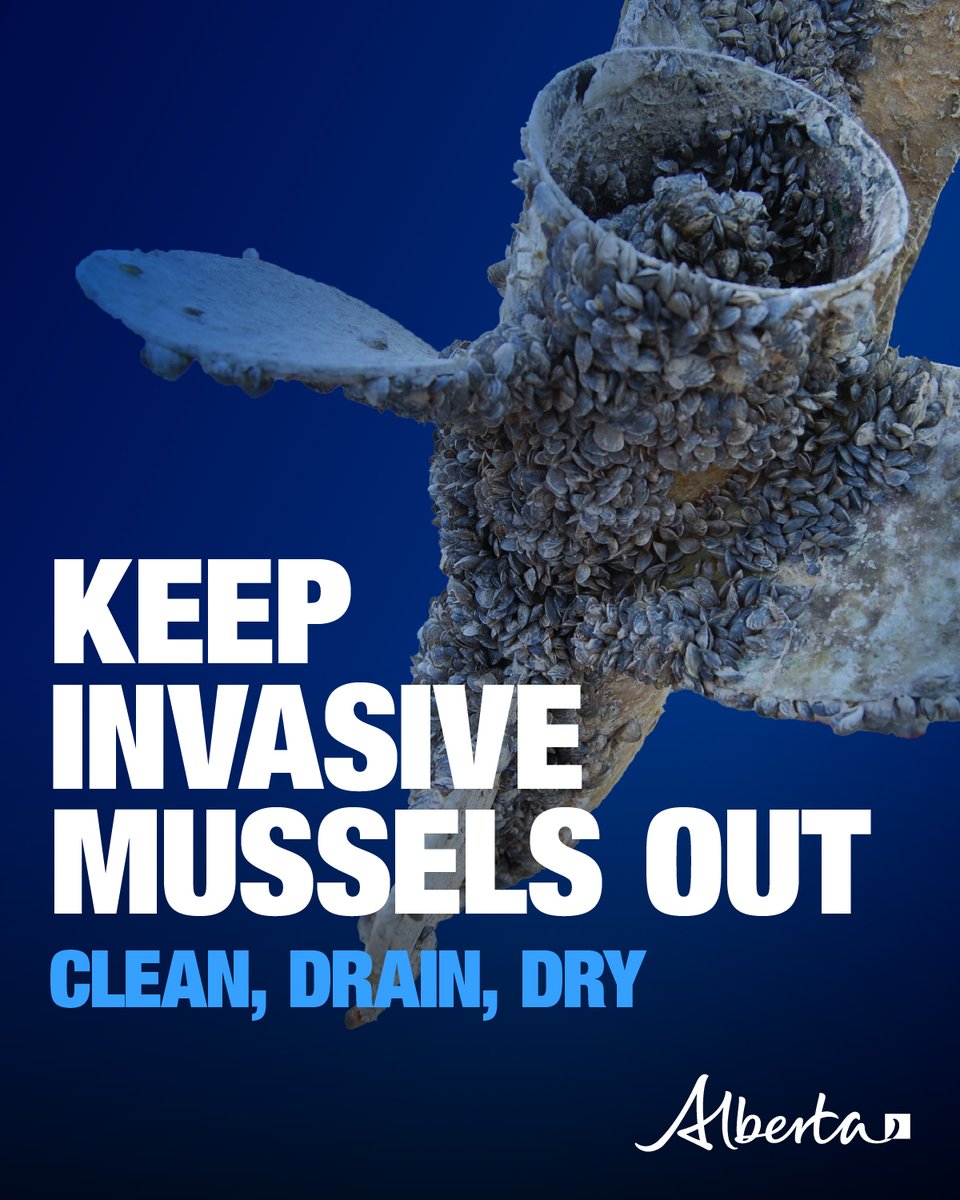 Before you head home, always clean, drain and dry every piece of gear. Whether it’s a powerboat or paddleboard, mandatory watercraft inspections protect Alberta’s waters. 

Expect to be inspected.