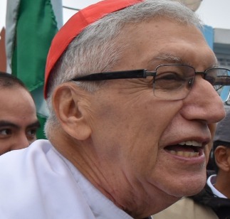 El Vaticano ordena investigación en la Arquidiócesis de Lima

El Vaticano ha ordenado una investigación respecto a las acusaciones de encubrimiento e irregularidades financieras contra el cardenal Carlos Castillo, arzobispo de Lima, según fuentes de alto rango en la