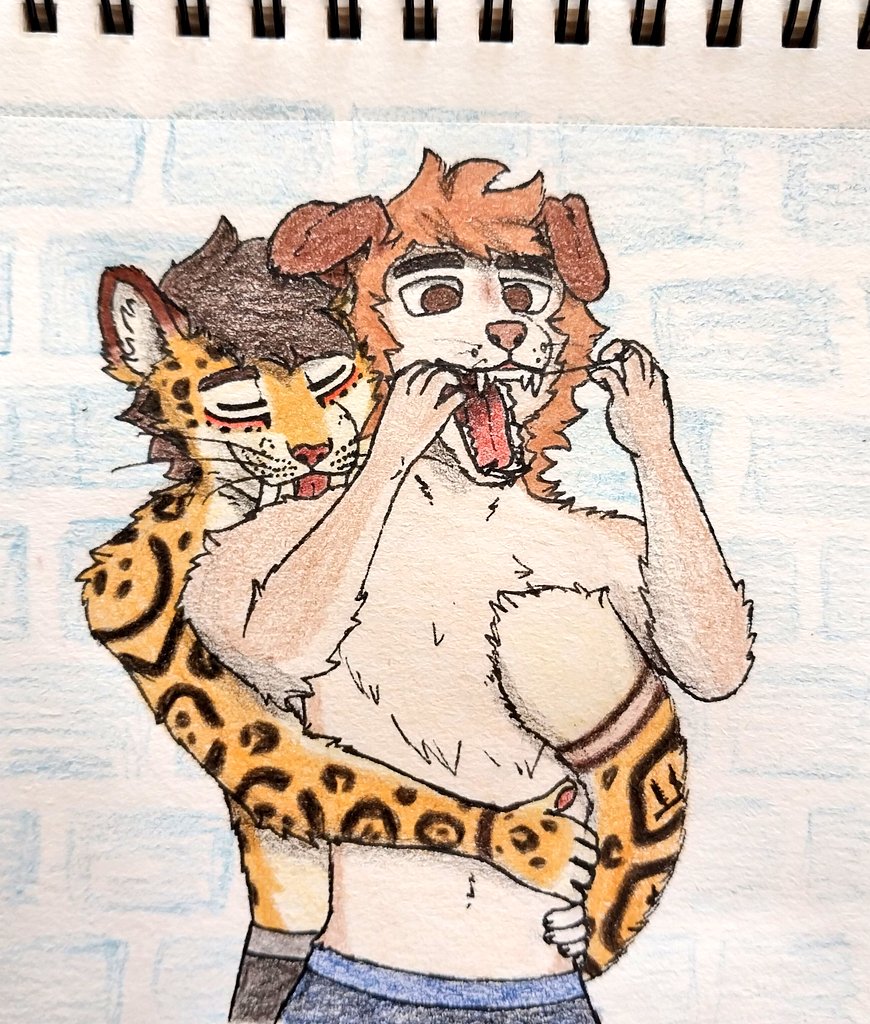 Tayson_Gato (@tayskald) on Twitter photo Not a single dull moment when these two are together! Not a single dull moment when these two are together!