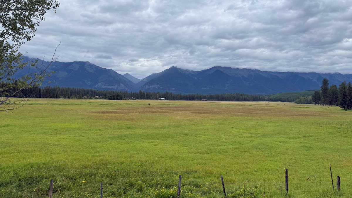 Zach Ware tweet media