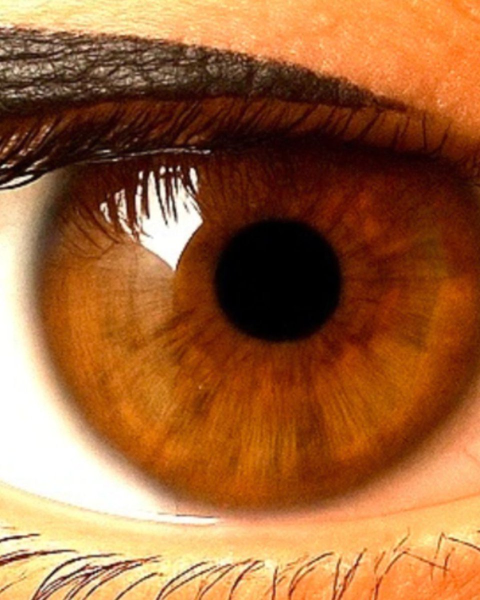 repostexchange's tweet image. 🔥Track of the Week eco by @rarasounds is giving us all the feels in the Re-Ex Underground Chart this week Don't take our word for it - keep scrolling! 😱 Track link in bio #TrackOfTheWeek #RepostExchange #Underground #IndependentArtist #SoundCloudHeat #NewMusic