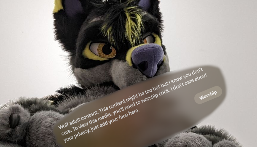 / Wolf / tweet media