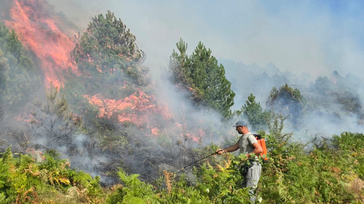 MirelaKumbaro's tweet photo. Këto ditë sfiduese ku të gjithë strukturat 🚔🚒🚑dhe vullnetarë të shumtë janë angazhuar në fikjen e zjarreve e në ndihmë të banorëve, mirënjohje për specialistët e 12 Administratave Rajonale të Zonave të Mbrojtura👷🏻‍♂️në luftë me zjarrin.
Kujdes! Sinjalizoni për çdo vatër zjarri! https://t.co/6nrLl8ZtC3