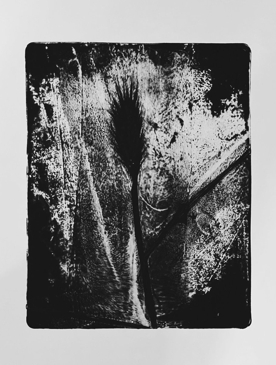 Spending my time with plants, paper and ink.