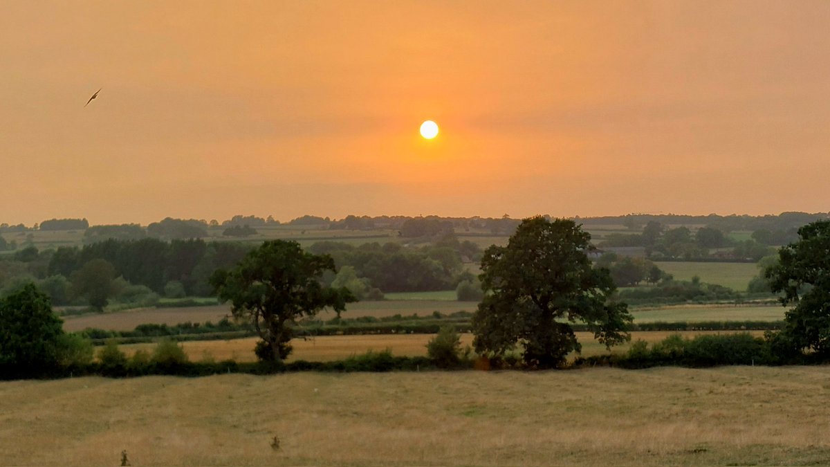 22°C and 20 mins to sunset
Padbury, North Bucks