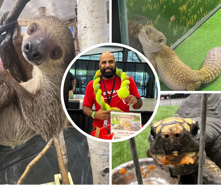 ⚡🐍 From basking bulbs to heating lamps, electricity keeps your scaly sidekicks cozy, and we’re here to chat about it! 

Slither over to WCRE Alberta Aug 16–17 at Seven Chiefs Sportsplex for energy tips, a free contest, fun games and snappy giveaways while supplies last.