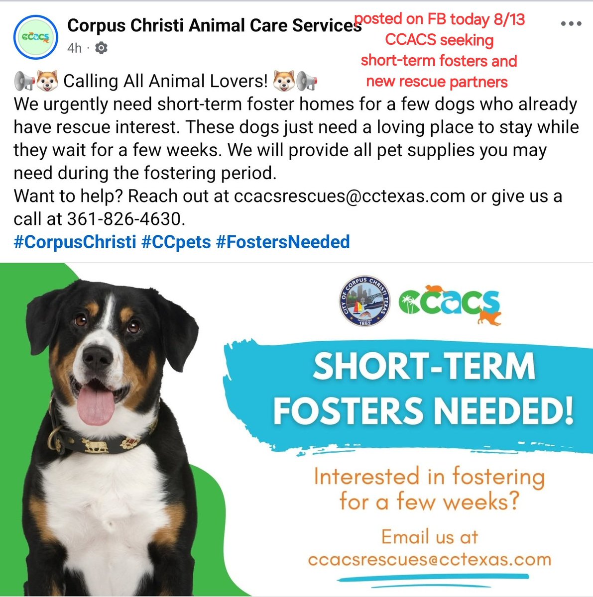 beeleevitonly's tweet photo. 🆘️please step up for #DeathRowDogs #RescueVillage #CorpusChristiNeighbors
#CorpusChristiACS needs help from the community or they will continue #DogCull https://t.co/avko7J2Ajr