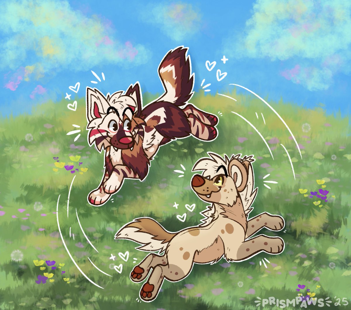 Kilo 🌻 🔜 TFF tweet media