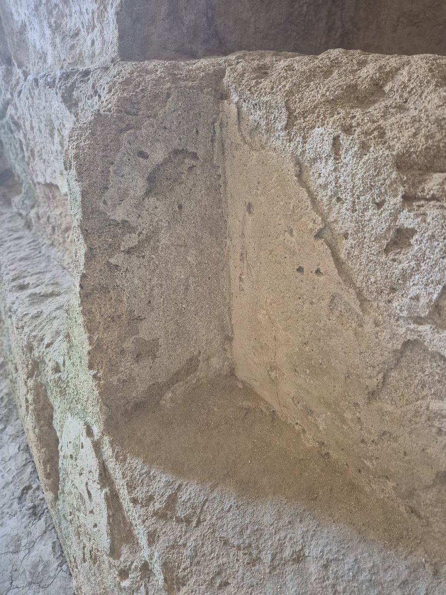 TheHistoryMouse's tweet photo. In a world of bare stone, Mouse love to find fragments of ancient plaster. Imagine how exciting it is to discover that these tombs were once plastered and painted 2,000 years ago #HeidiInPaphos #TheTombsOfTheKingsPaphos https://t.co/cXq72u8udH
