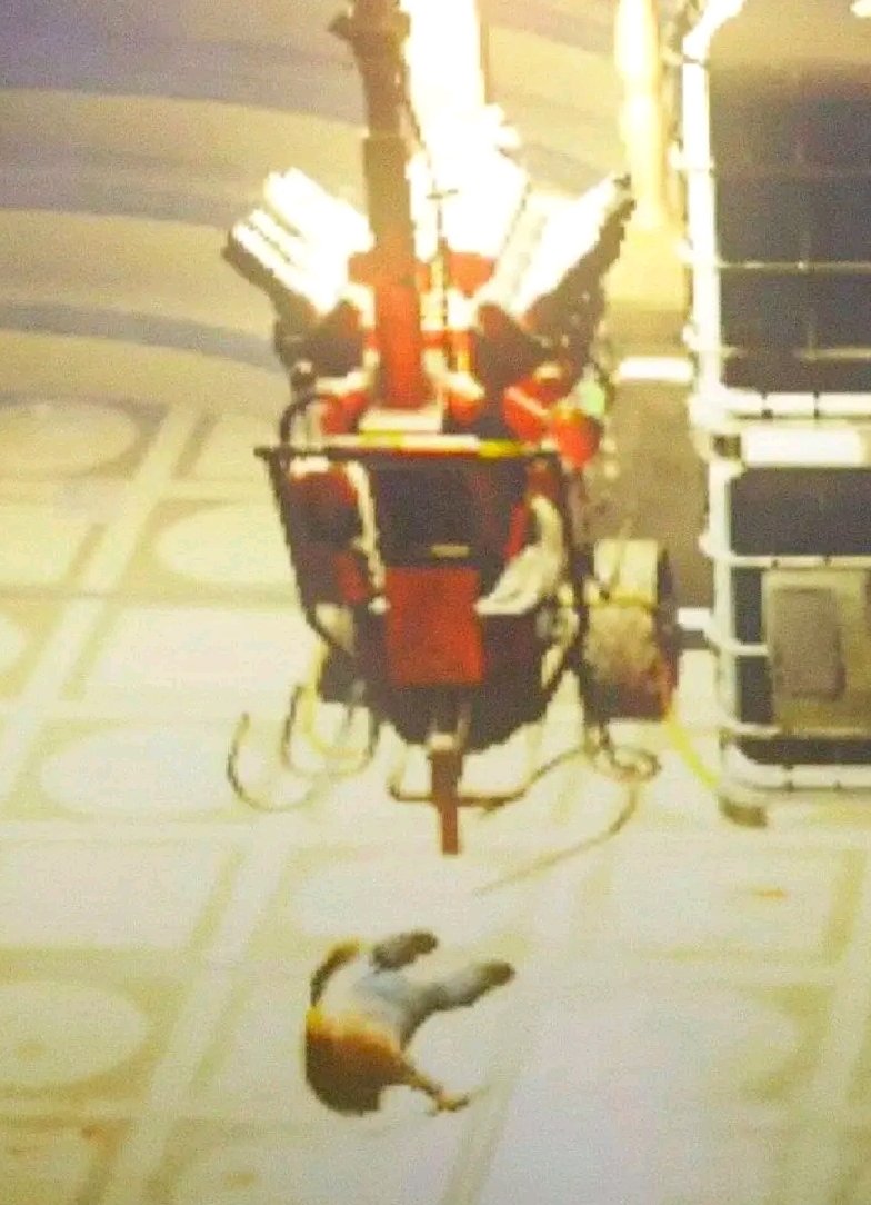 This is what playing Killer feels like in the current state of DBD