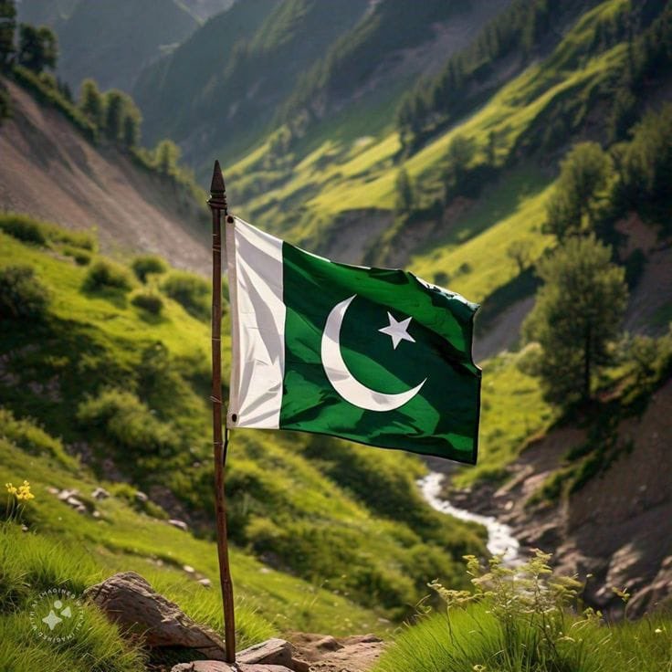 So proud to be a son of this soil. Happy Independence Day, Pakistan! May our country always be blessed with peace and prosperity. Let's hope for great times ahead! 🇵🇰💚
#HappyIndependenceDay2025 #PakistanZindabad