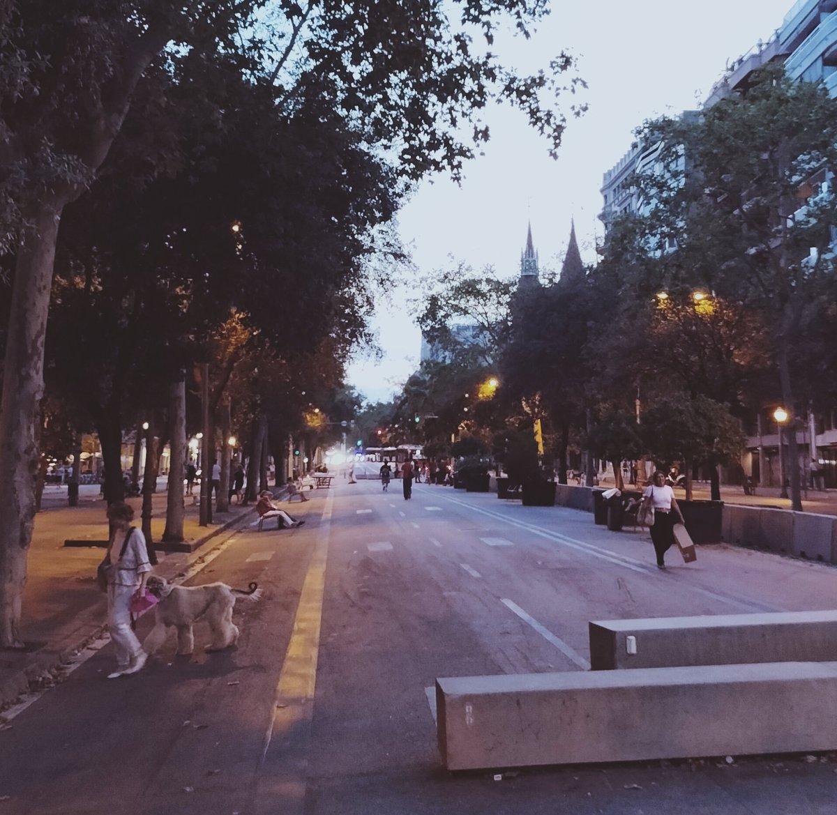 Quina llàstima que ja no puguin circular cotxes pel tram central de Diagonal entre Bruc i Girona... Ara els veïns es veuen obligats a sortir a caminar, a treure el gos, asseure's als bancs a la fresca, a xerrar...! El "papanatisme"!!
