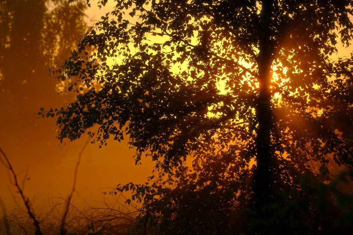 однажды в деревне меня мучила рассветная бессоница, и чтобы утро не прошло напрасно, я взял фотоаппарат и пошел гулять на зады