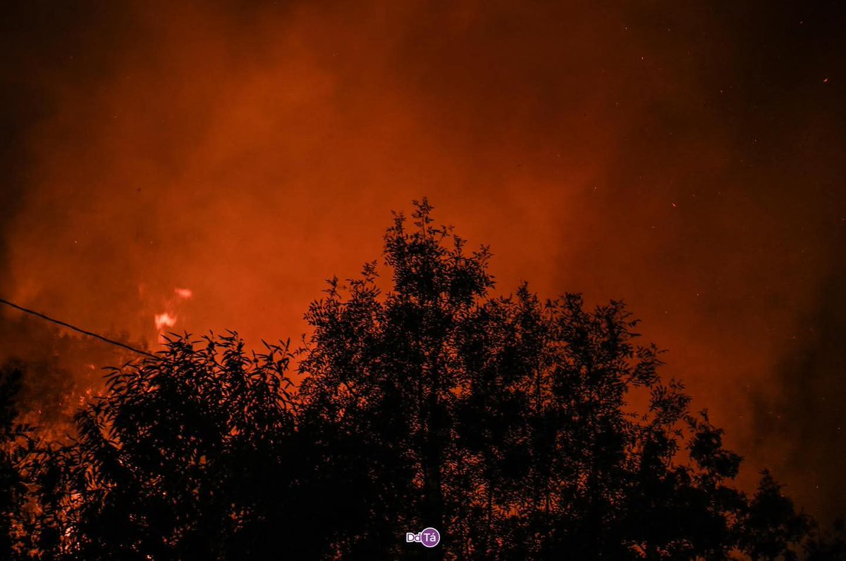 Esta e a DANA que levamos sufriendo na provincia de Ourense dende fai 30 anos, ano a ano...

<a href="/RubenGisbertOOC/">Ruben Gisbert OOC</a> 
<a href="/navedelmisterio/">Iker Jiménez</a>