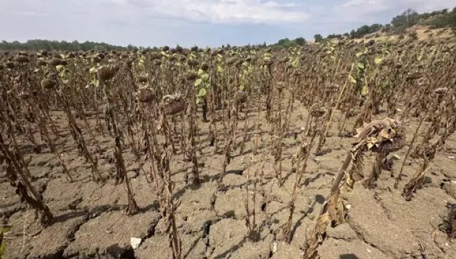 Kuraklık..
Çok yakında en önemli problemimiz olacak.
Bütün belediyelerin devlet desteğiyle yağmur sularının toplanması için altyapıyı harekete geçirilmelidir.
Üniversitelerin de devlet destekli deniz tuzu ayrıştırma çalışması yapılmalı.
Neredeyse su fakiri ülkeler sınıfındayız..!