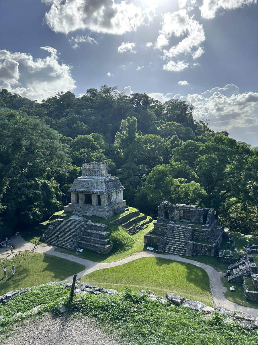 Fausto Massa tweet media