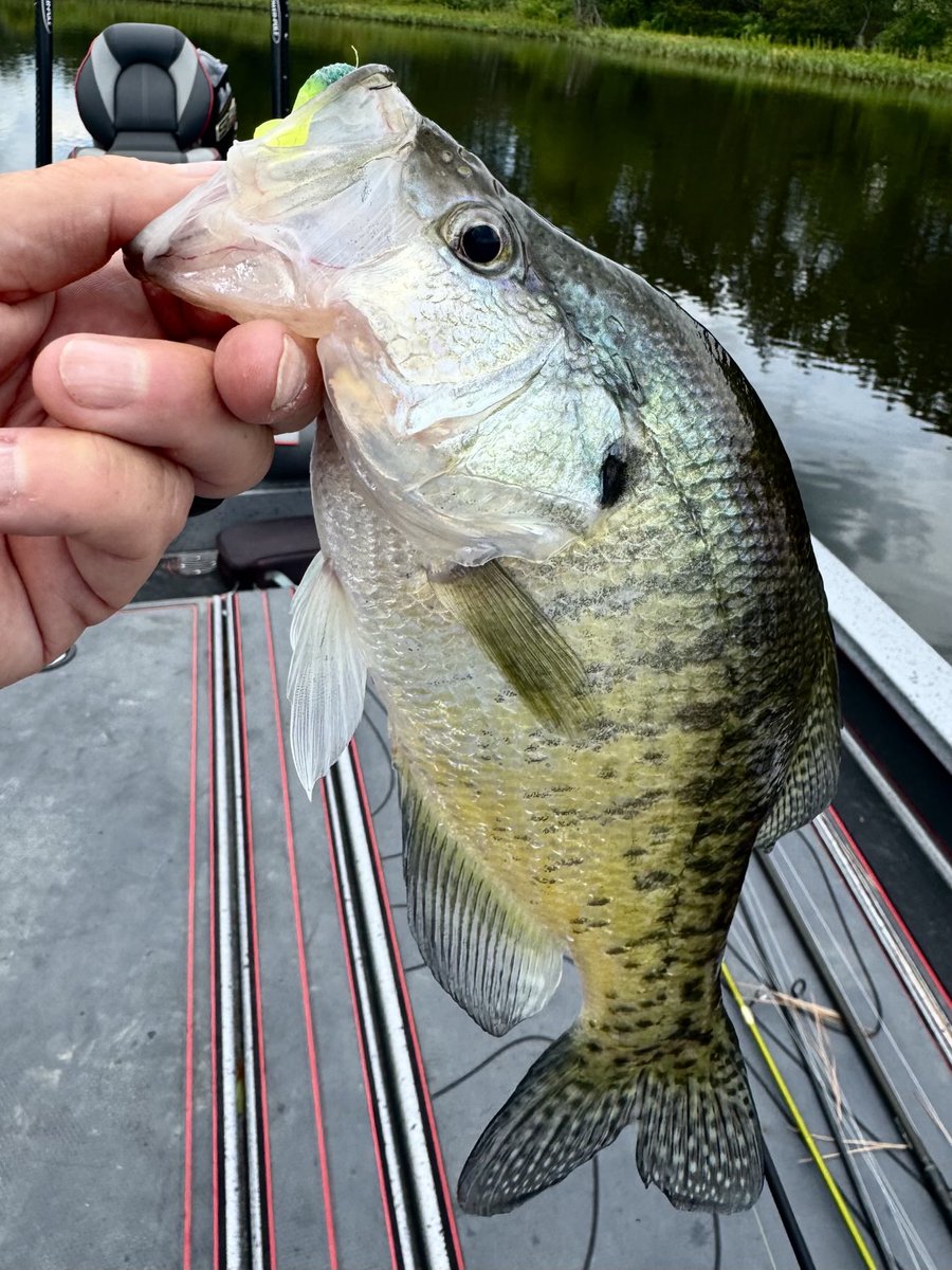 Pretty summertime slab!