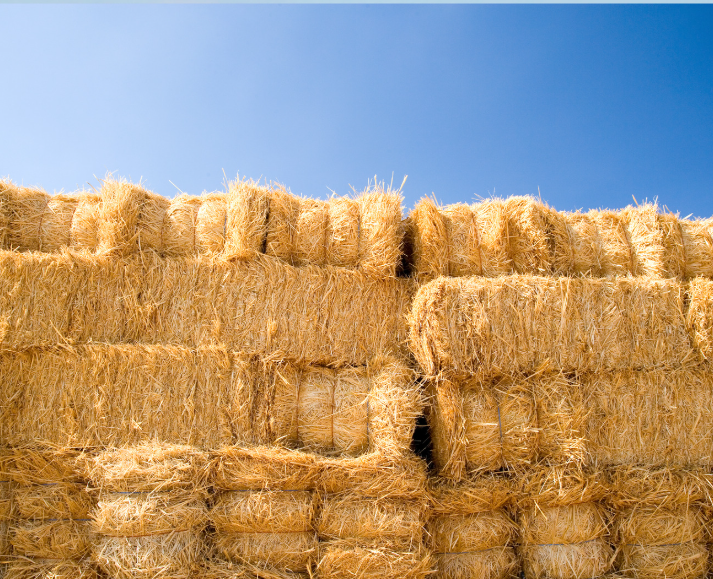 It's Welfare Wednesday and we have another tip from the PATH Intl. equine welfare committee! Is your hay shed stocked for the winter?  To learn more about testing your hay and understanding the analysis results, visit: loom.ly/P_K_BKs.