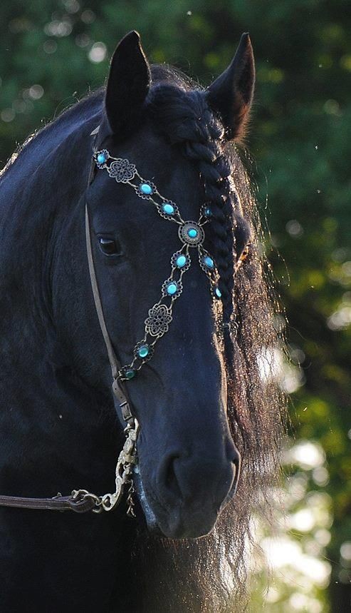 Gemê li devê şevereşê bixin û siyar bibe were !
Ji kerbê, ji derbê, ji bê, ji baranê bifilite were.
Biseride, biteyise, ta bibe, ba bibe were.
Kirasê xemê ji xwe bike, belgê gul û sosina li bejnê, li balê bihesikîne were.

Goma Jorîn

30 Adar 2025