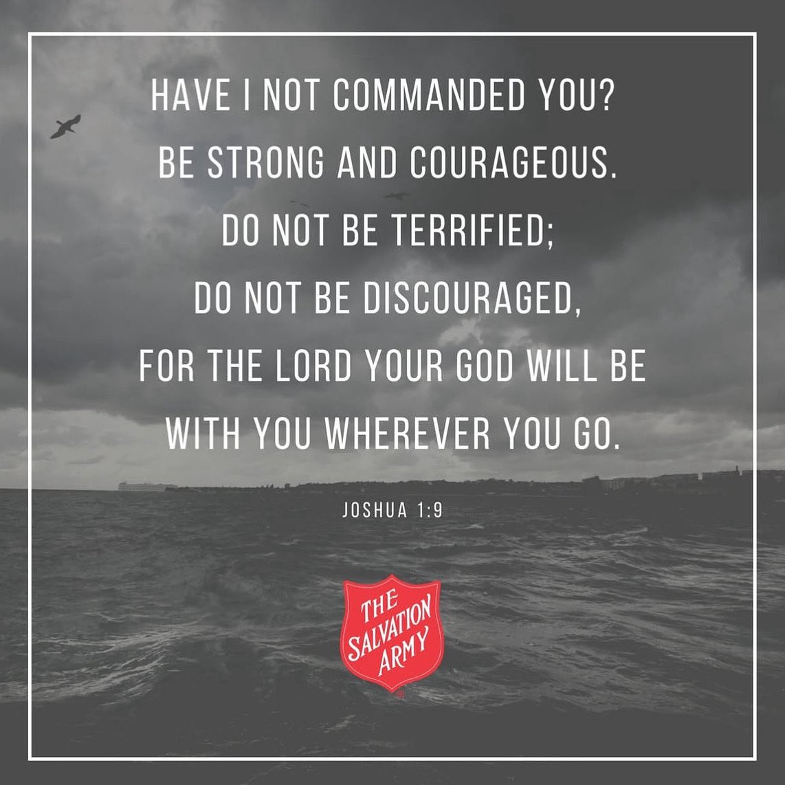 Enjoy your day, all.  And be encouraged:  God goes with you today!

#WednesdayWisdom