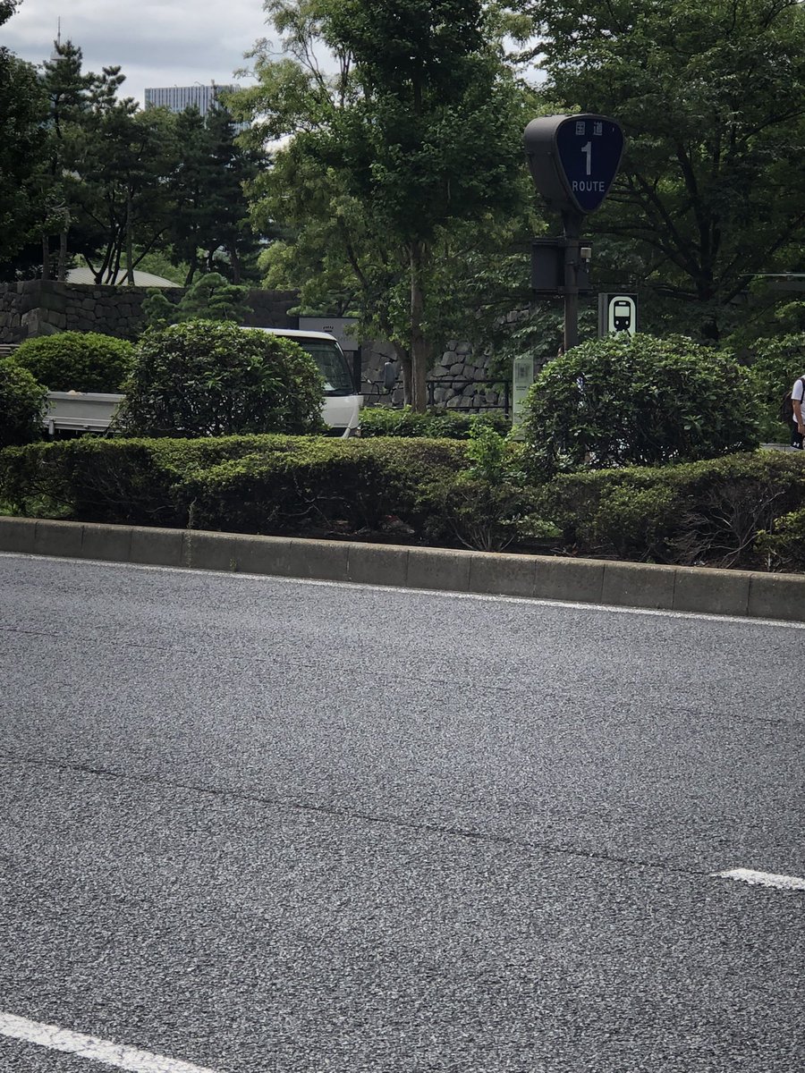 sei96514978's tweet photo. 国道1号線
田舎者だから東京来たらキョロキョロしてしまう（笑） https://t.co/6jOa5vq2i0