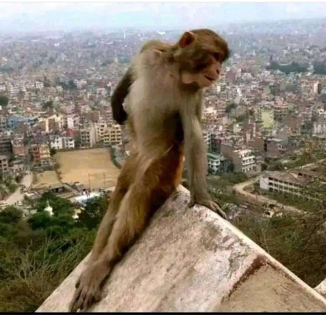 NdiseniActors's tweet photo. Kaizer Chiefs looking at Orlando Pirates ☠️ https://t.co/MQ4fAq4oWr