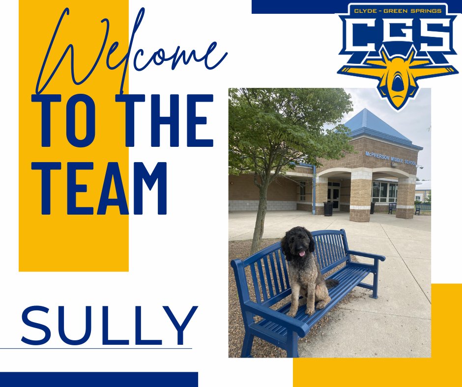 🐾 Meet Sully – The Newest (and Furriest) Member of MMS! 🐾
We’re wagging with excitement to introduce Sully, the official therapy dog at McPherson Middle School! 💙✈️🐶