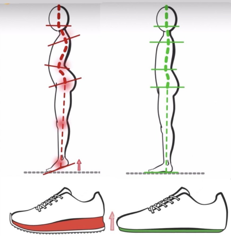 4. Elevated heels wreck your posture &amp; can create problems within the calf &amp; Achilles tendon

Transition to lower drop shoes for daily wear