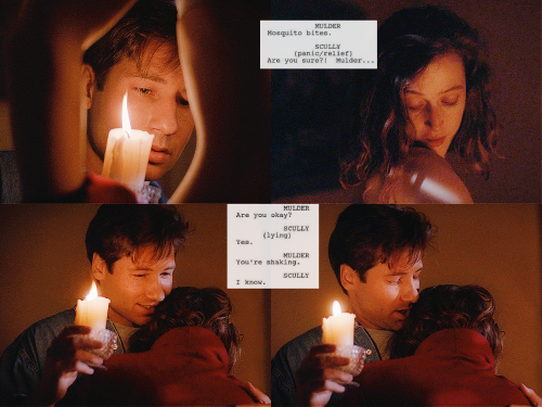 Smug the Goat (@tn_death_ride) on Twitter photo <a href="/XFilesAesthetic/">THE X FILES AESTHETICS</a> Mulder...no question. This scene in S01E01 when he realizes Scully is open to believing. Their whole relationship is built off this scene. <a href="/XFilesAesthetic/">THE X FILES AESTHETICS</a> Mulder...no question. This scene in S01E01 when he realizes Scully is open to believing. Their whole relationship is built off this scene.