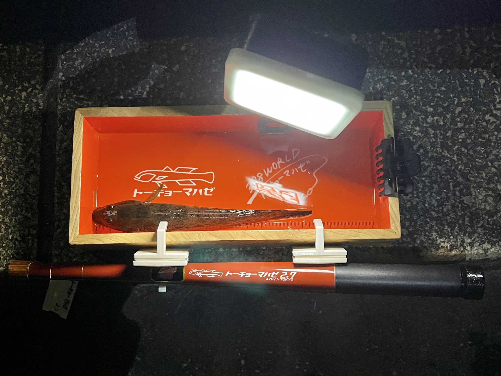 櫻井釣漁具製　トーキョーマハゼPROミニ 1e2d475aa6686995936699ed1b6448