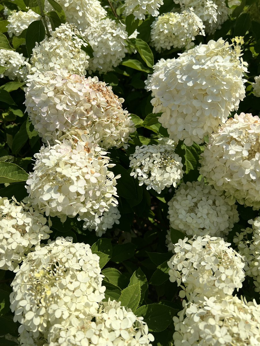 A-N-T 💌 (@antwontstop) on Twitter photo 