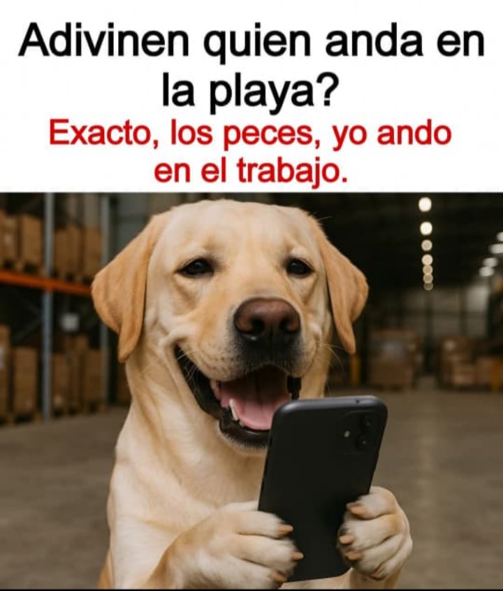 😂😂😂😞😥 aiñ. Jajaja bonito día querid@s