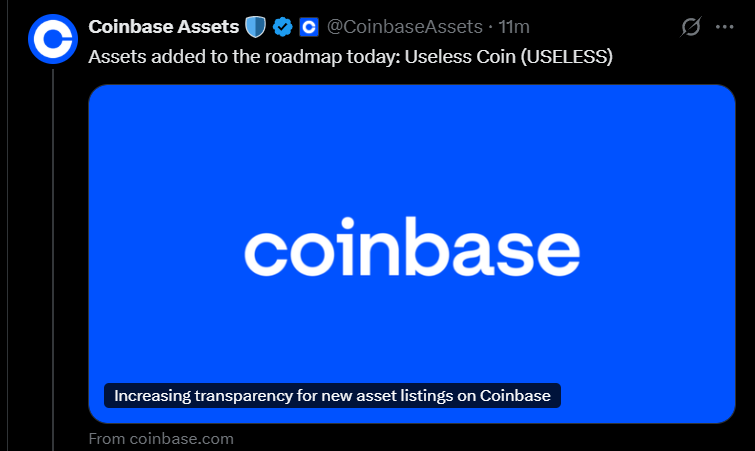 " $BONK is dead 😂"