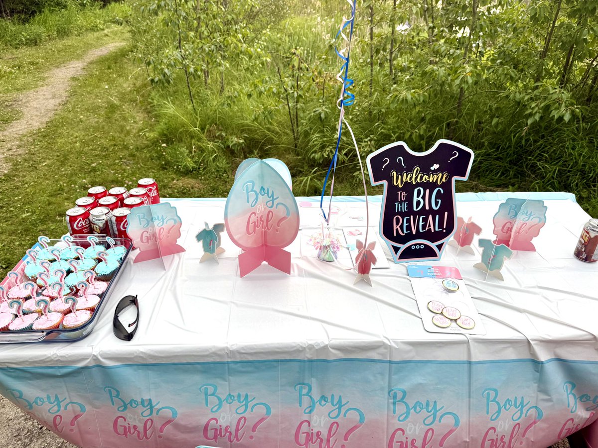 Here’s some pics 📸 from our gender reveal!! So blessed to bring in another baby 👦 into this world 🌍

#baby #reveal #family #love #itsaboy #blue #fireworks #boy #newmember #precious #moments #memories #pics