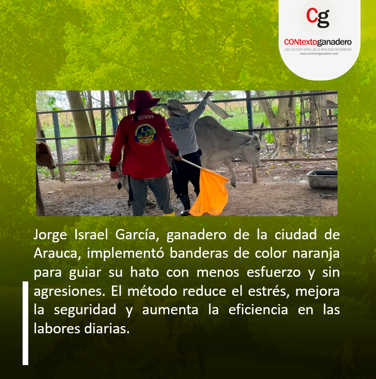 Pasión Ganadera-PLARAUCA (@plarauca) on Twitter photo Cambió su forma de arrear y encontró secreto de ganado más dócil contextoganadero.com/cronica/hace-5… a través de <a href="/ContGanadero/">CONtexto Ganadero</a> <a href="/ubate_pl/">PL Ubaté</a> <a href="/PlSaravena/">Proyecto Local Saravena, pasión ganadera</a> <a href="/PL_TAME/">Tame Pasión Ganadera</a> <a href="/PLCaucasiagan/">CAUCASIA PASION GANADERA</a> <a href="/Fedegan/">FEDEGAN</a> <a href="/jflafaurie/">José Félix Lafaurie</a> <a href="/PLCaucasiagan/">CAUCASIA PASION GANADERA</a> Cambió su forma de arrear y encontró secreto de ganado más dócil contextoganadero.com/cronica/hace-5… a través de <a href="/ContGanadero/">CONtexto Ganadero</a> <a href="/ubate_pl/">PL Ubaté</a> <a href="/PlSaravena/">Proyecto Local Saravena, pasión ganadera</a> <a href="/PL_TAME/">Tame Pasión Ganadera</a> <a href="/PLCaucasiagan/">CAUCASIA PASION GANADERA</a> <a href="/Fedegan/">FEDEGAN</a> <a href="/jflafaurie/">José Félix Lafaurie</a> <a href="/PLCaucasiagan/">CAUCASIA PASION GANADERA</a>