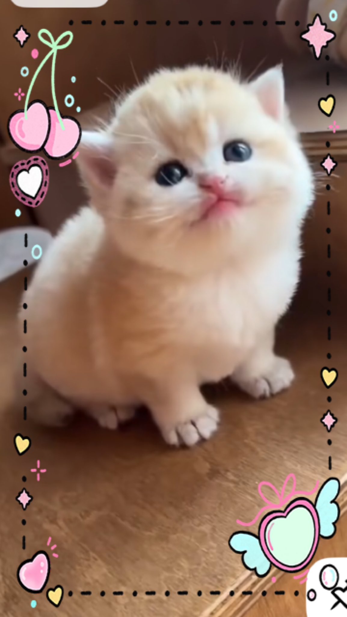 ୨୧プロフ確認お願いします୨୧ 最終での発送⭕️1月10まで プロフ帳書いたよ - البحث / X