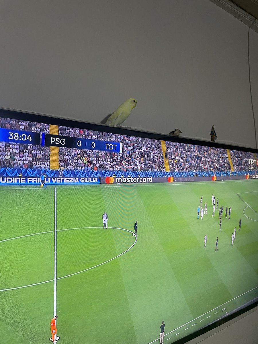 Fenerbahçe  şanpiyonlar ligine çok yakın