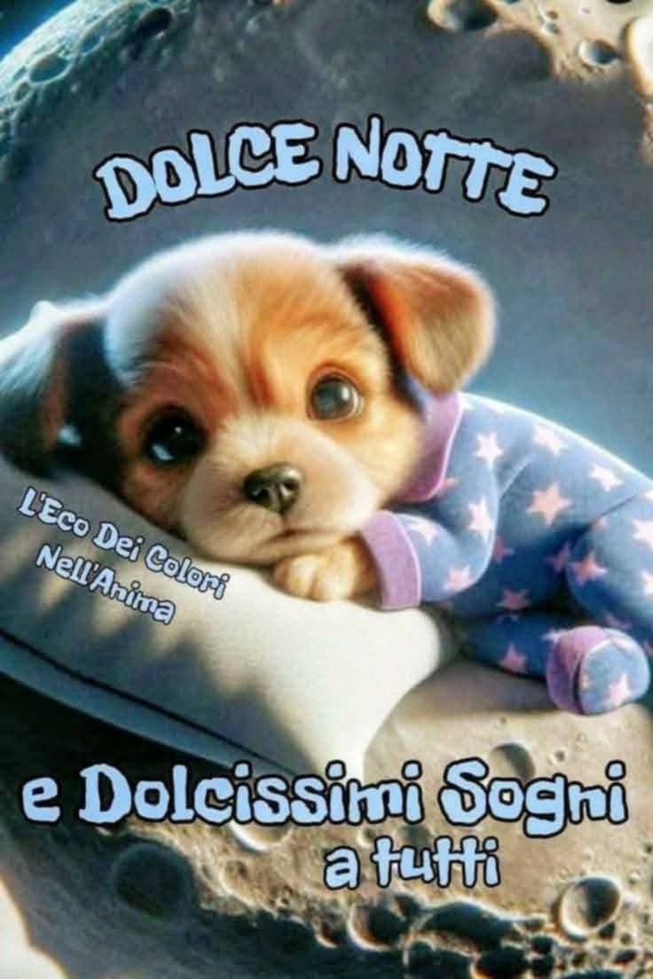 RITABIANCHi56 tweet media