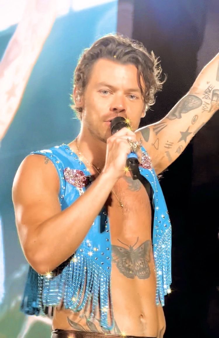 harry styles—