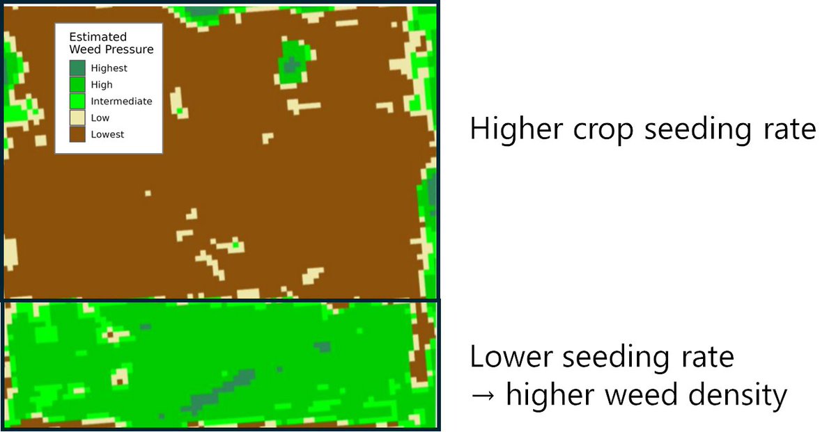 Greg Stewart tweet media