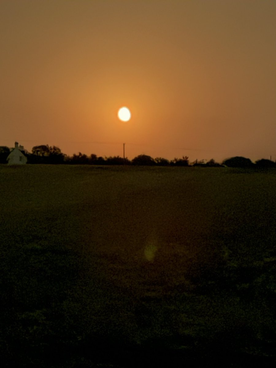Moon glowing tonight… 🦉